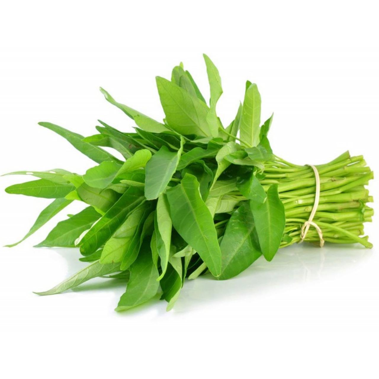 kangkung adalah antara tumbuhan berbahaya di amerika syarikat, ini sebabnya