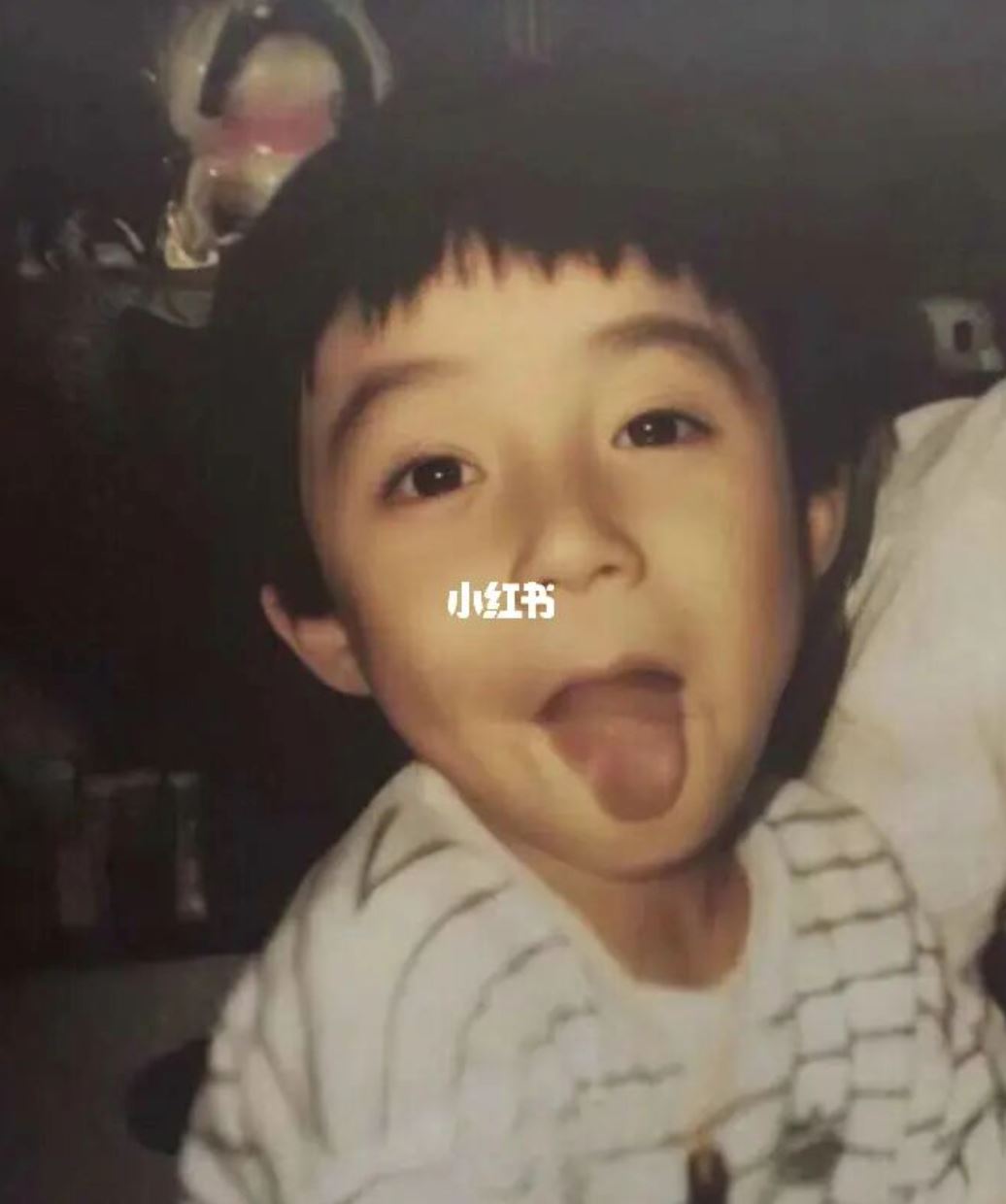 😍【披荆斩棘】周柏豪儿时照片曝光❗️网友惊叹：吃什么长大的