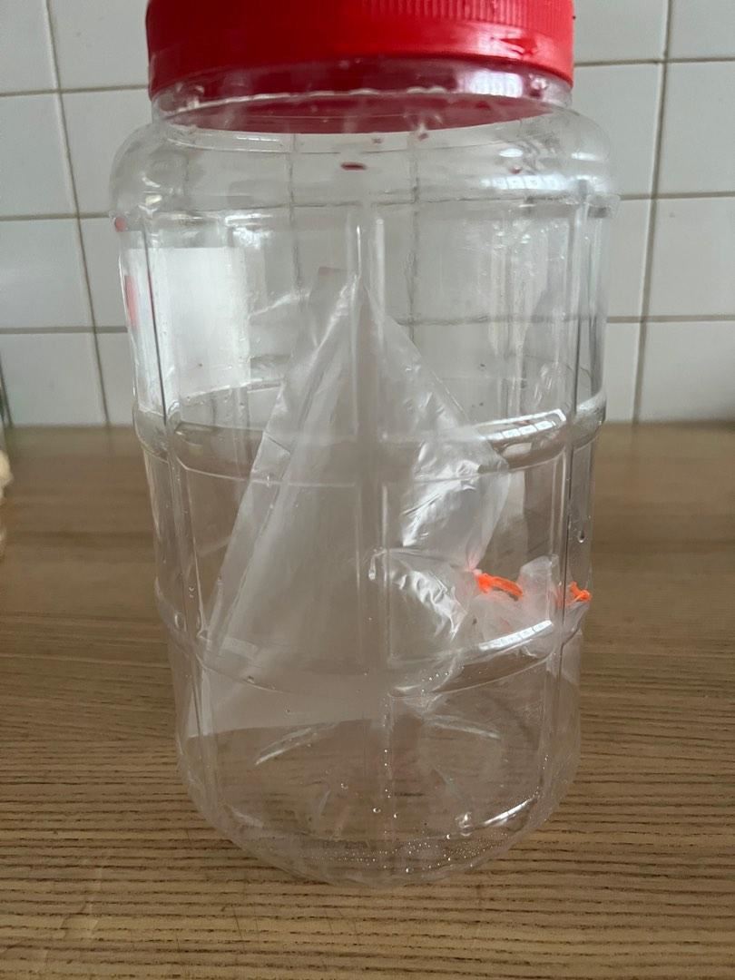 man sells “billie eilish’s breath” which he collected at her concert in singapore for rm48,000!