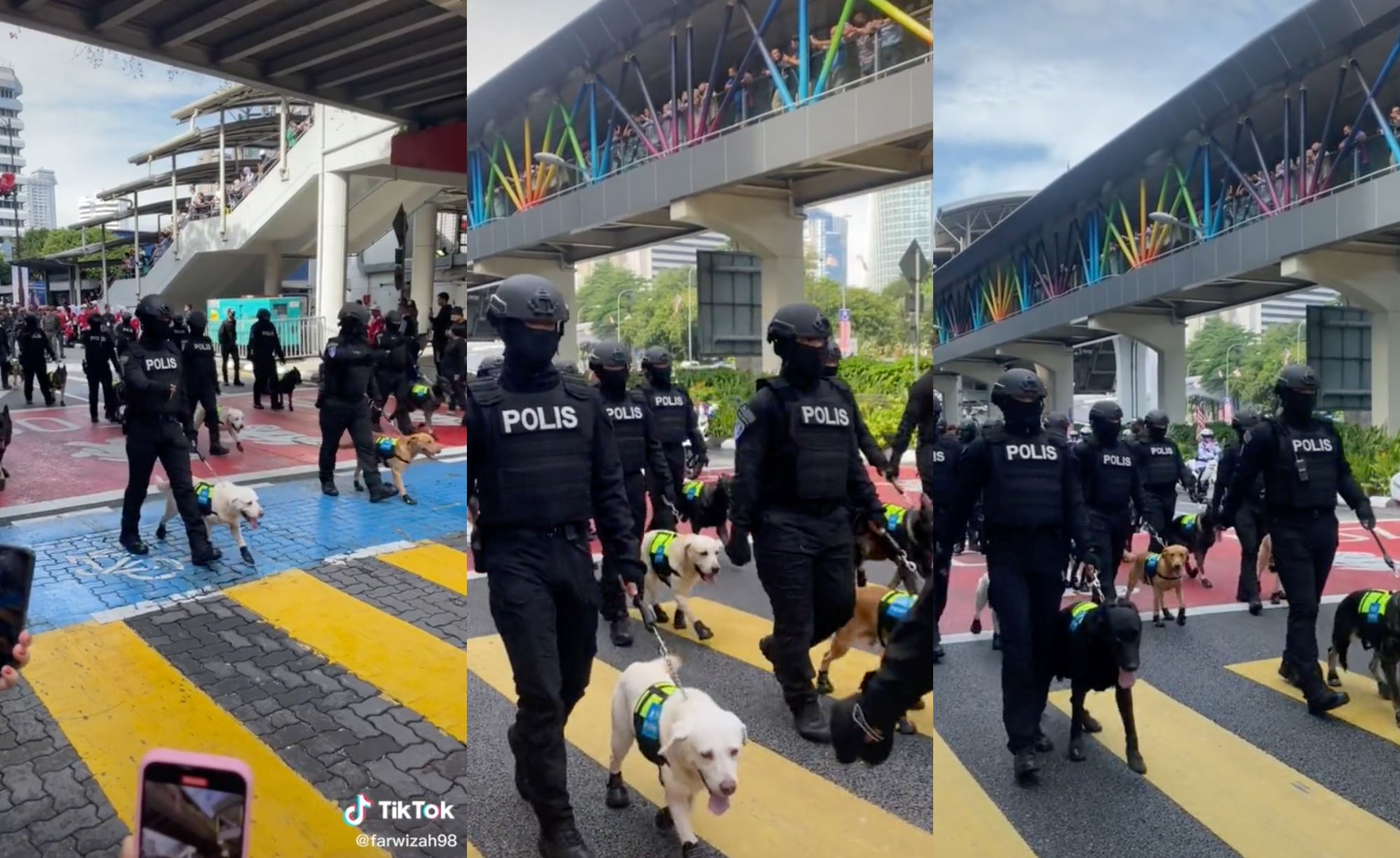 police doggos wearing tiny shoes steals hearts during national day parade rehearsal!