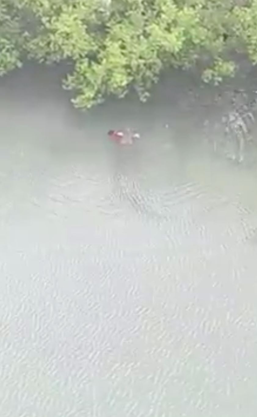  【附视频】大马男童遭鳄鱼残忍拖走！父救无果当场痛哭！