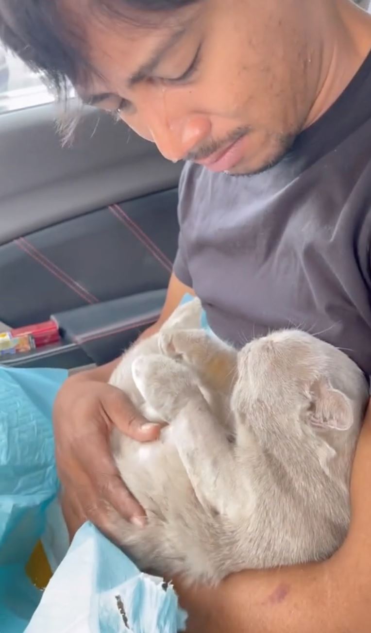 gugur air mata fendy bakry bila kucing kesayangan mati [video]