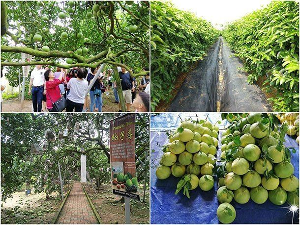 jom cuti ke perak, ini senarai 60 tempat menarik yang ada di ipoh!