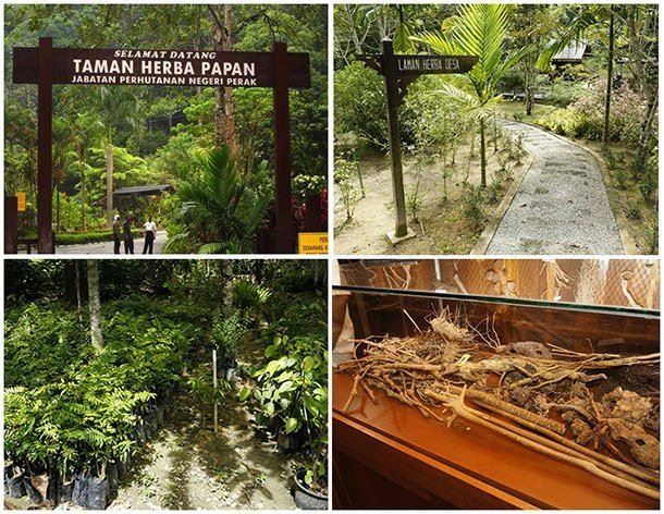 jom cuti ke perak, ini senarai 60 tempat menarik yang ada di ipoh!