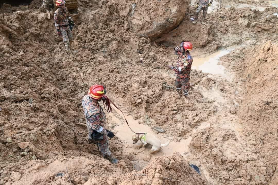 mangsa ke 26 tragedi tanah runtuh ditemui berpelukan bersama anjing peliharaannya