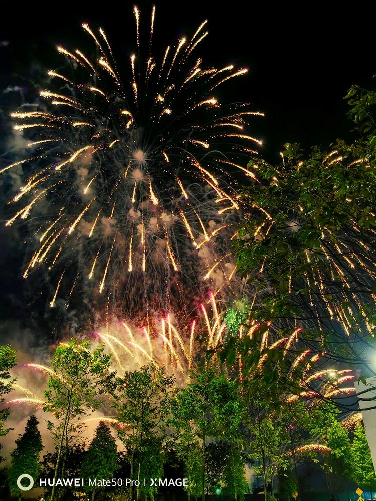 Fireworks in the sky