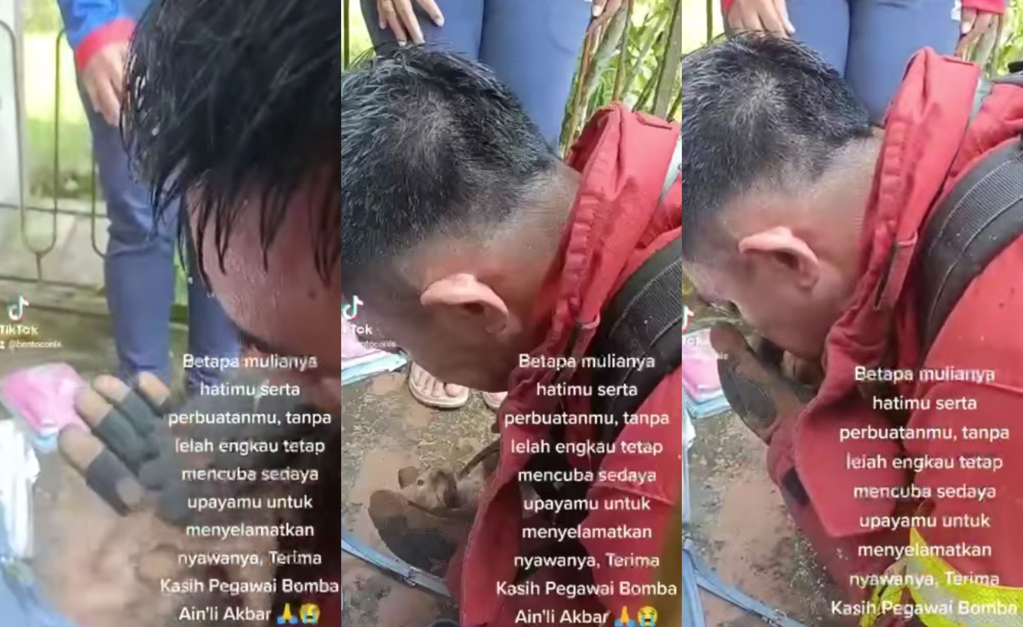 abang bomba praised for trying to resuscitate a cat that was trapped in fire