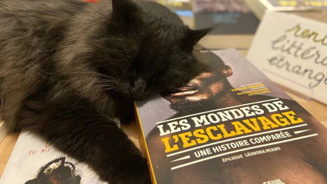 kedai buku perancis ini ibarat 'syurga' bagi pencinta kucing