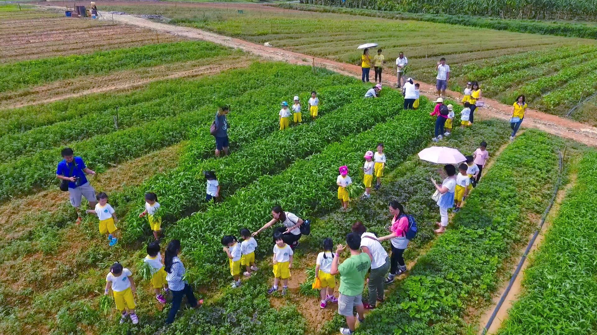 6 interesting places in selangor suitable for a school trip!