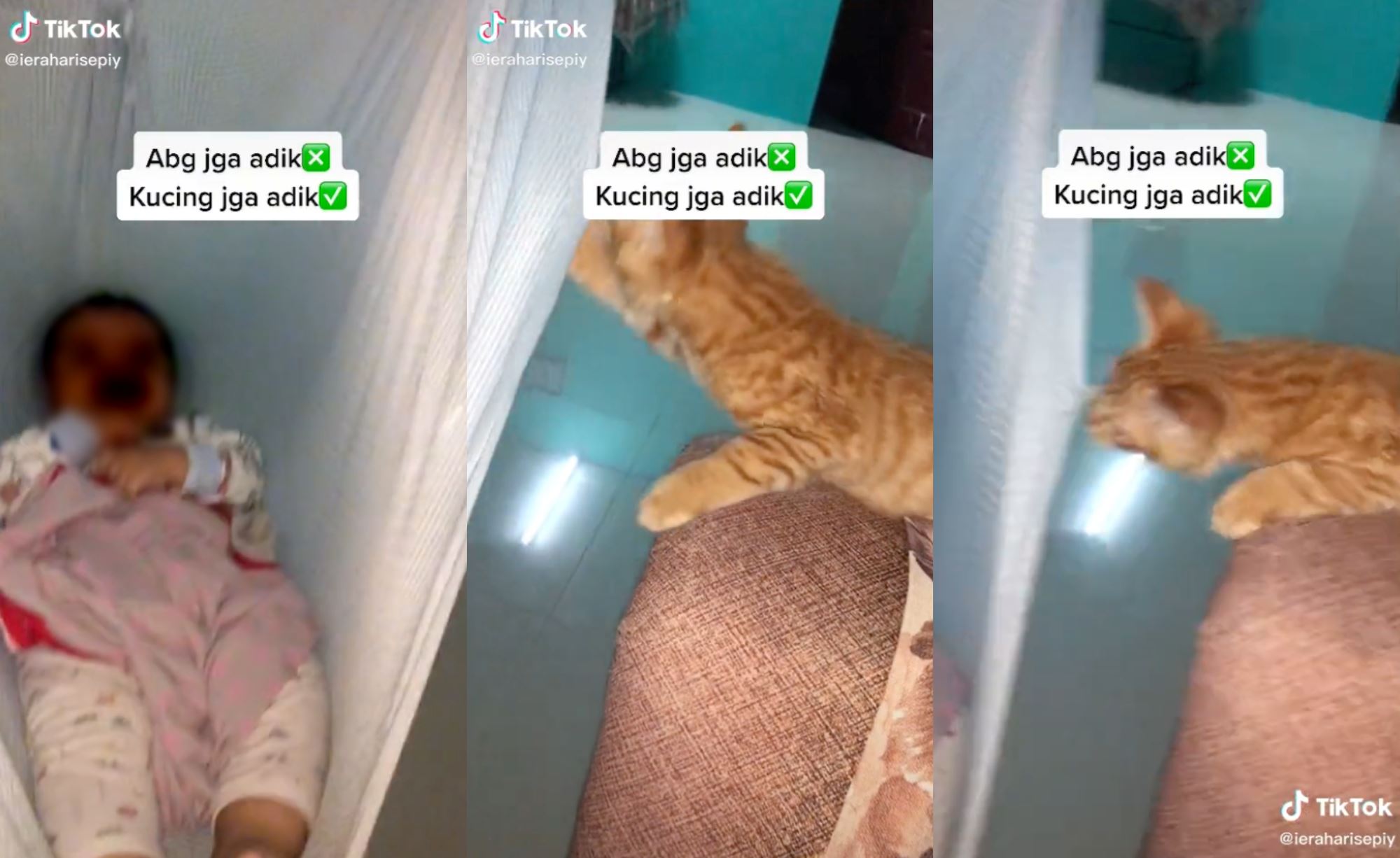 “doing it for the wet food” oyen rocks baby to sleep, netizens amused