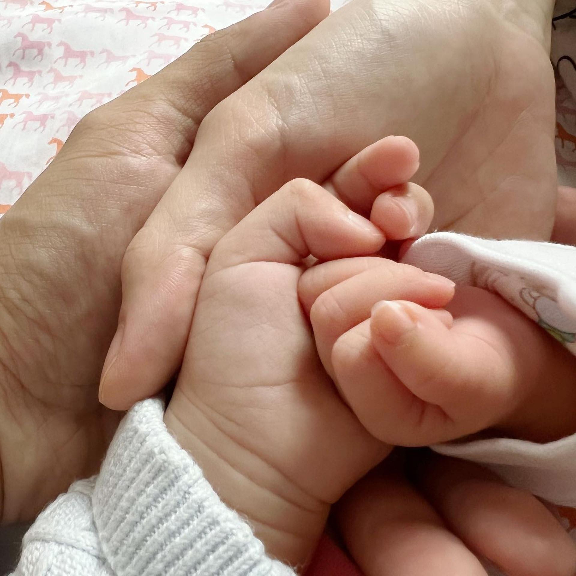 恭喜❗️杨秀惠诞下第二胎：兴奋小妺妹的到来❤️