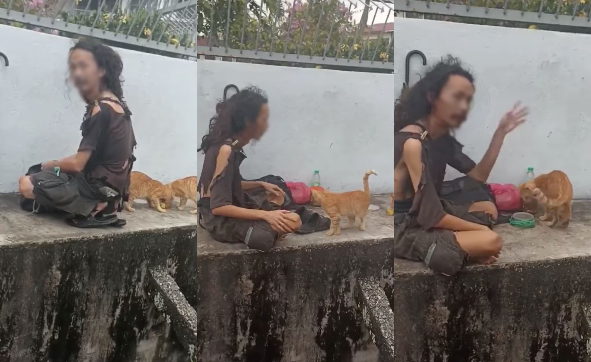 netizens praised man in shabby clothes because he always feed stray cats in pj