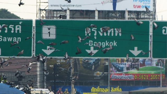 bangkok-640.png