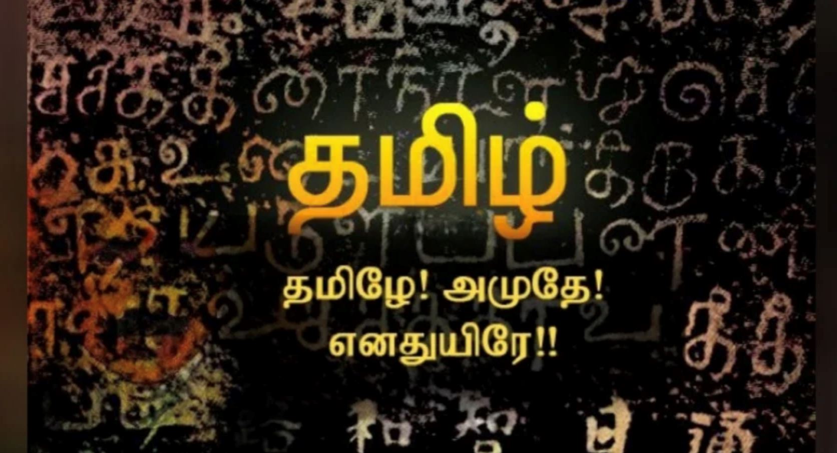 உலகத் தாய்மொழி தினம்!