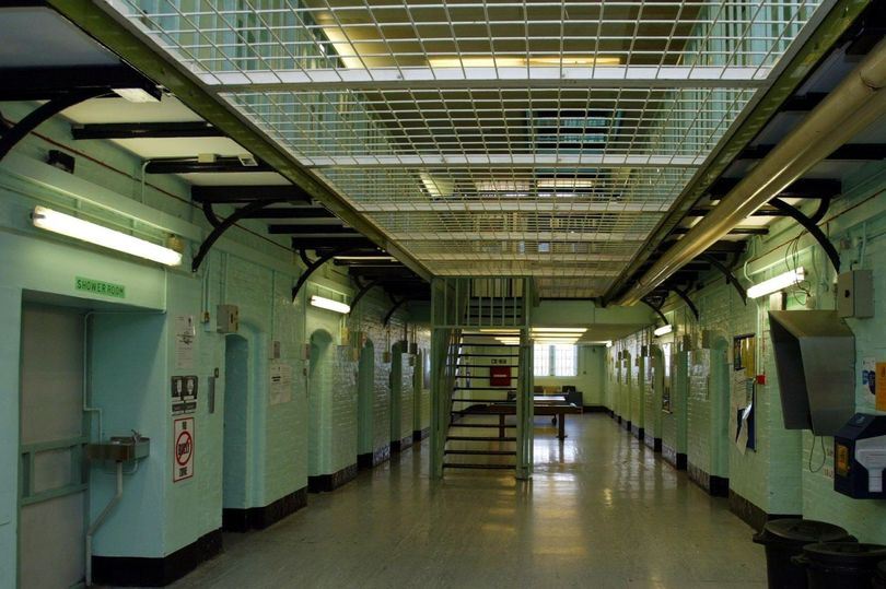 tikus bersaiz sebesar kucing serang penjara england