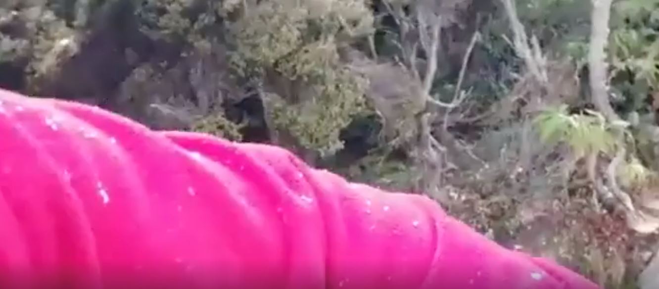 pendaki terkejut fenomena salji turun di gunung kinabalu terjadi depan mata