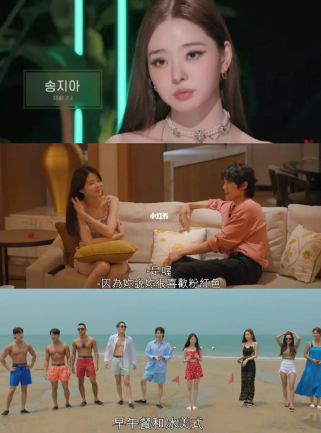 8部必看「恋爱综艺」推荐💓 《单身即地狱》不剧荒！