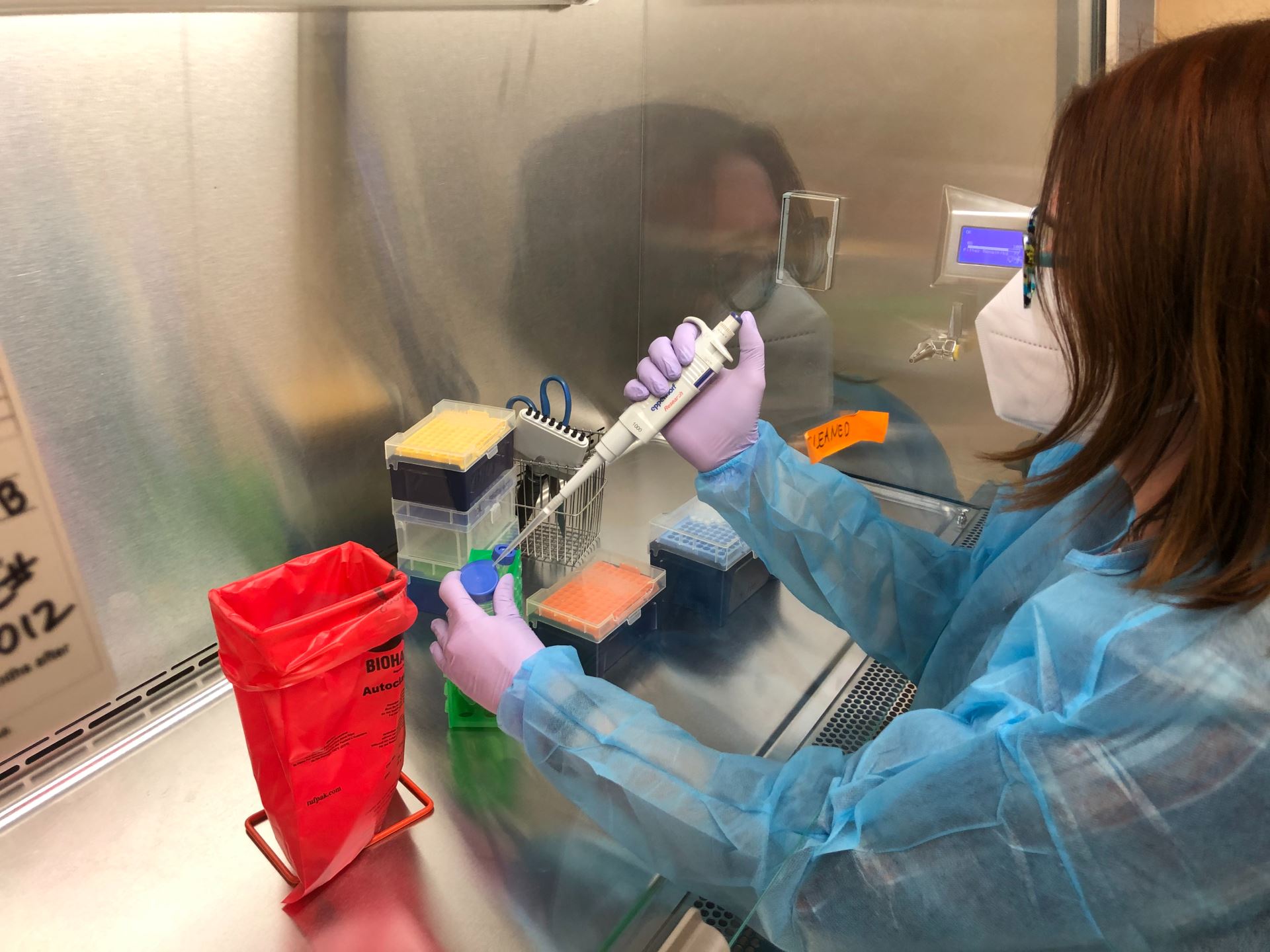 new covid-19 variant ihu reported to have 46 mutations, found mostly in france