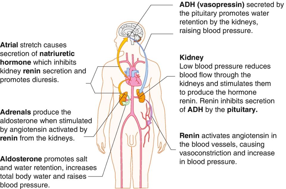 kajian dapati manusia boleh buta jika tinggal di planet lain