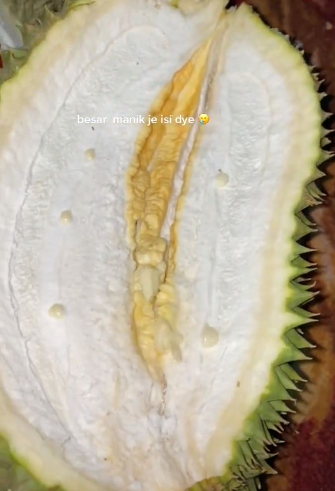 【趣闻】榴莲果肉小到像珍珠？网戏称：买了个寂寞！
