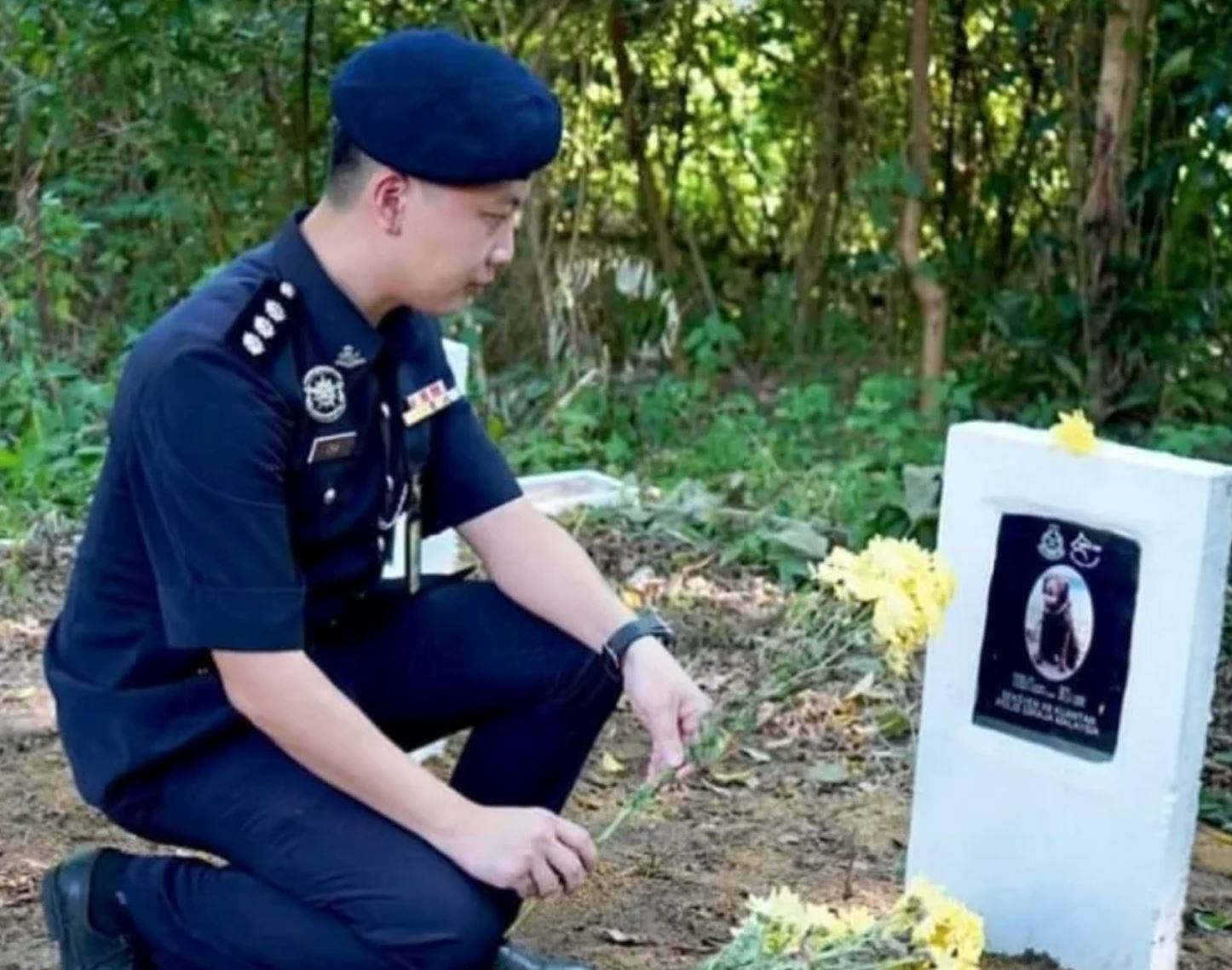 pahang police bids farewell to police dog, bad who passes away of old age