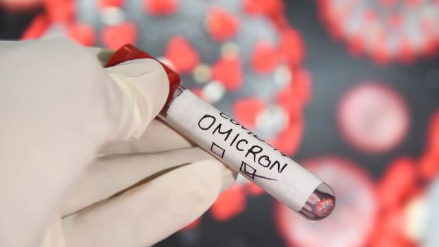 subvarian baru omicron, ba.5 mampu jangkiti semula bekas pesakit setiap bulan