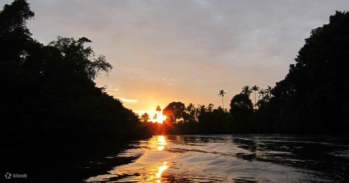 Sunset view during Kilas Wetlands safari trip boat ride in Sabah
