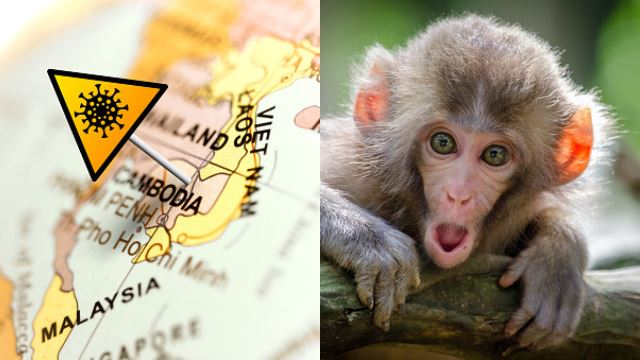 pesakit 'monkeypox' yang dikesan di thailand cabut lari ke kemboja