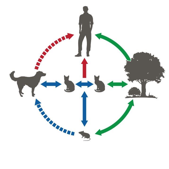 jangkitan dari haiwan kepada manusia makin kerap, who beri amaran