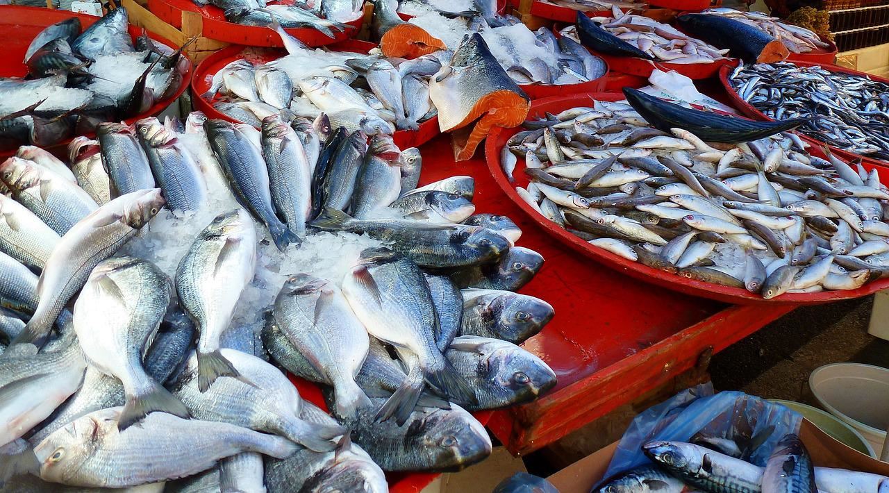 cuaca tak menentu jadi punca harga ikan naik