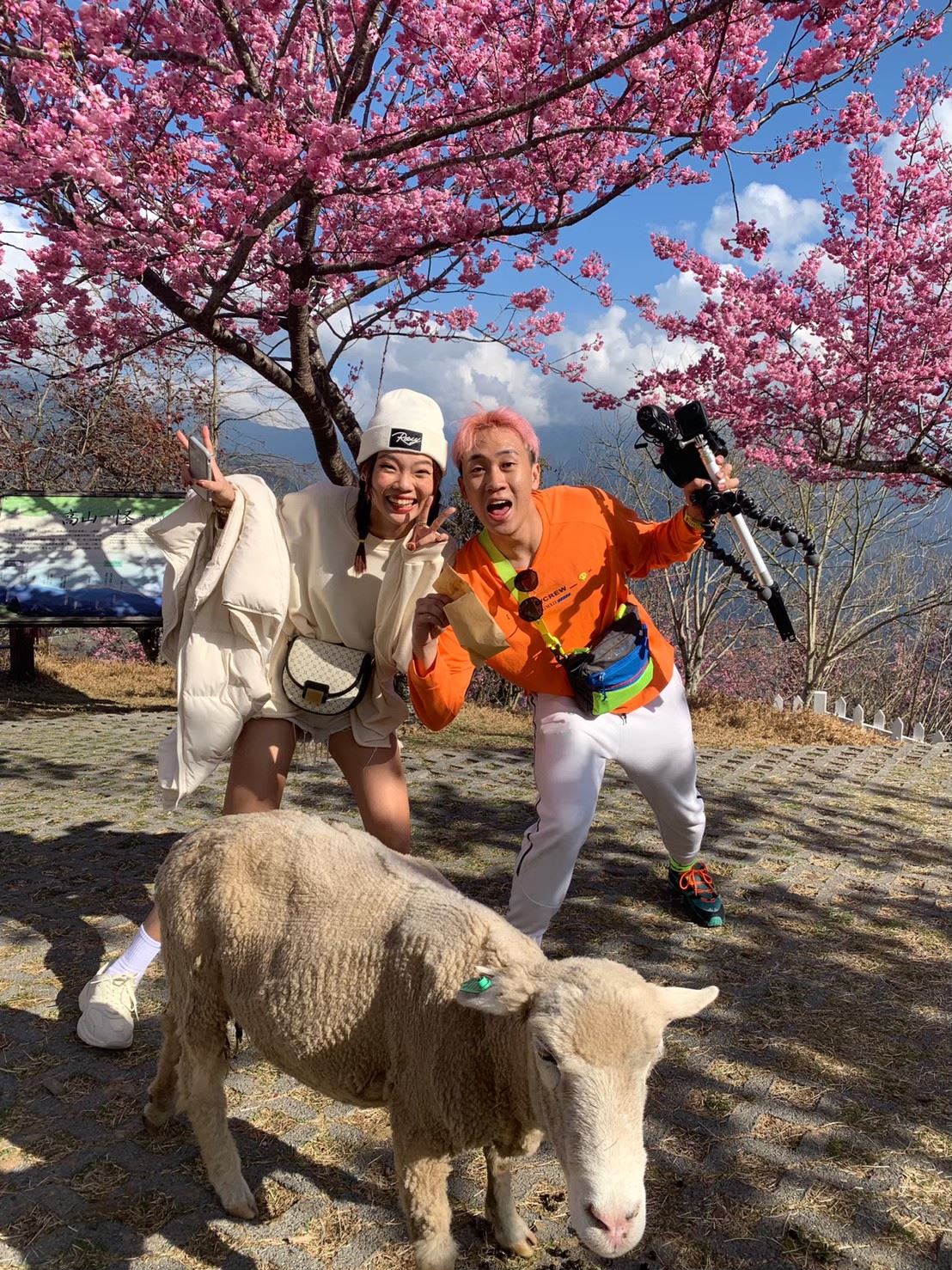 ⚠️西西歪和语庭已经离婚❗️「感谢双方曾经的付出」