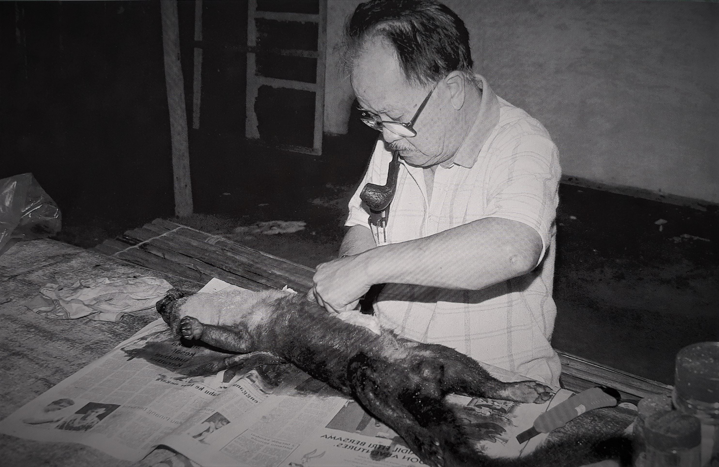 celebrating dr. lim boo liat, malaysia’s pioneering zoologist!