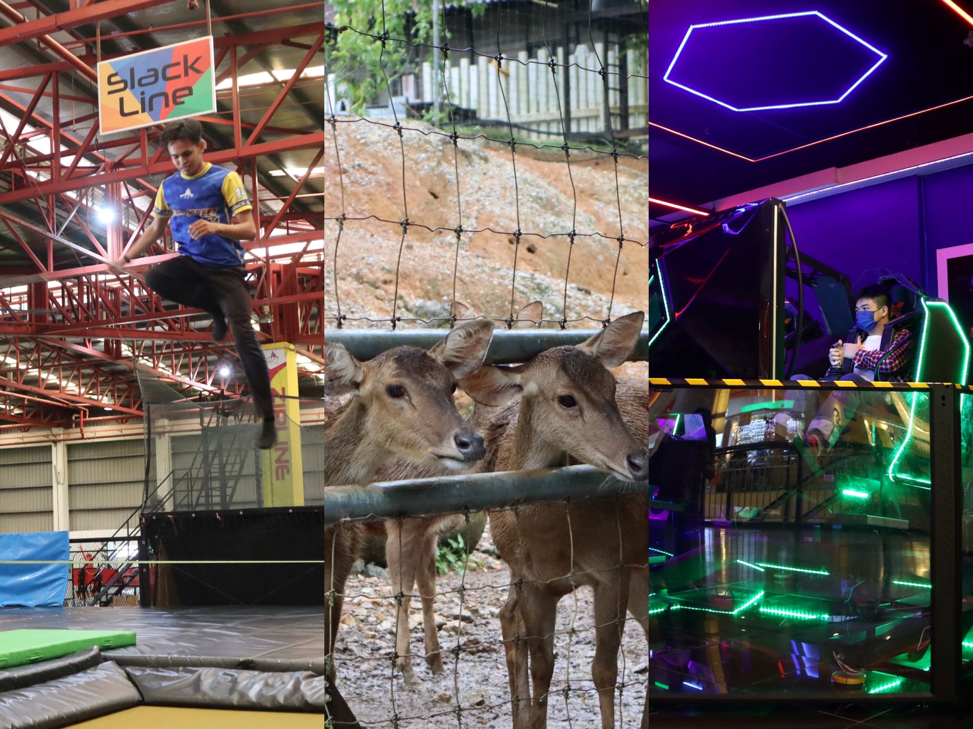 10 fun tourist attractions in selangor that your kids will thank you for!