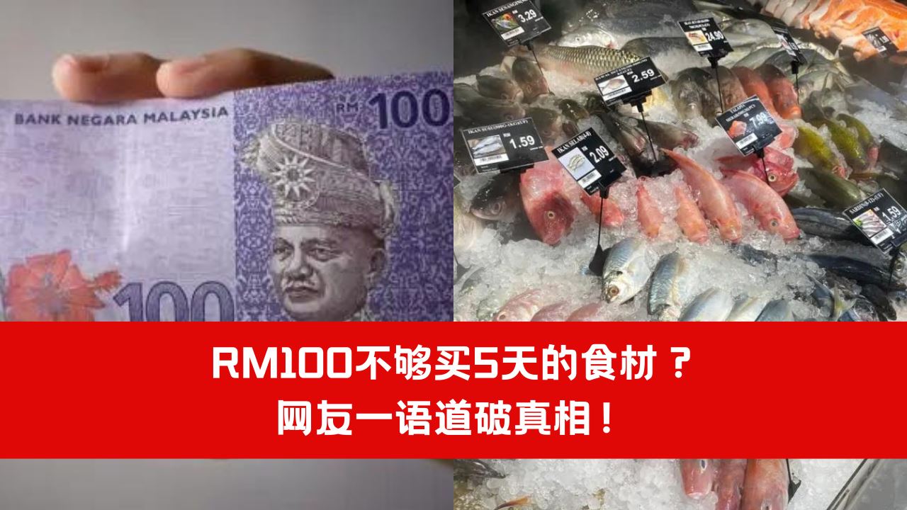rm100-5.png