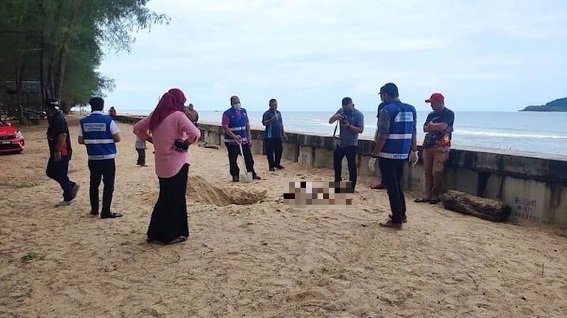 twenty stray cats found dead at terengganu beach, believed to be poisoned