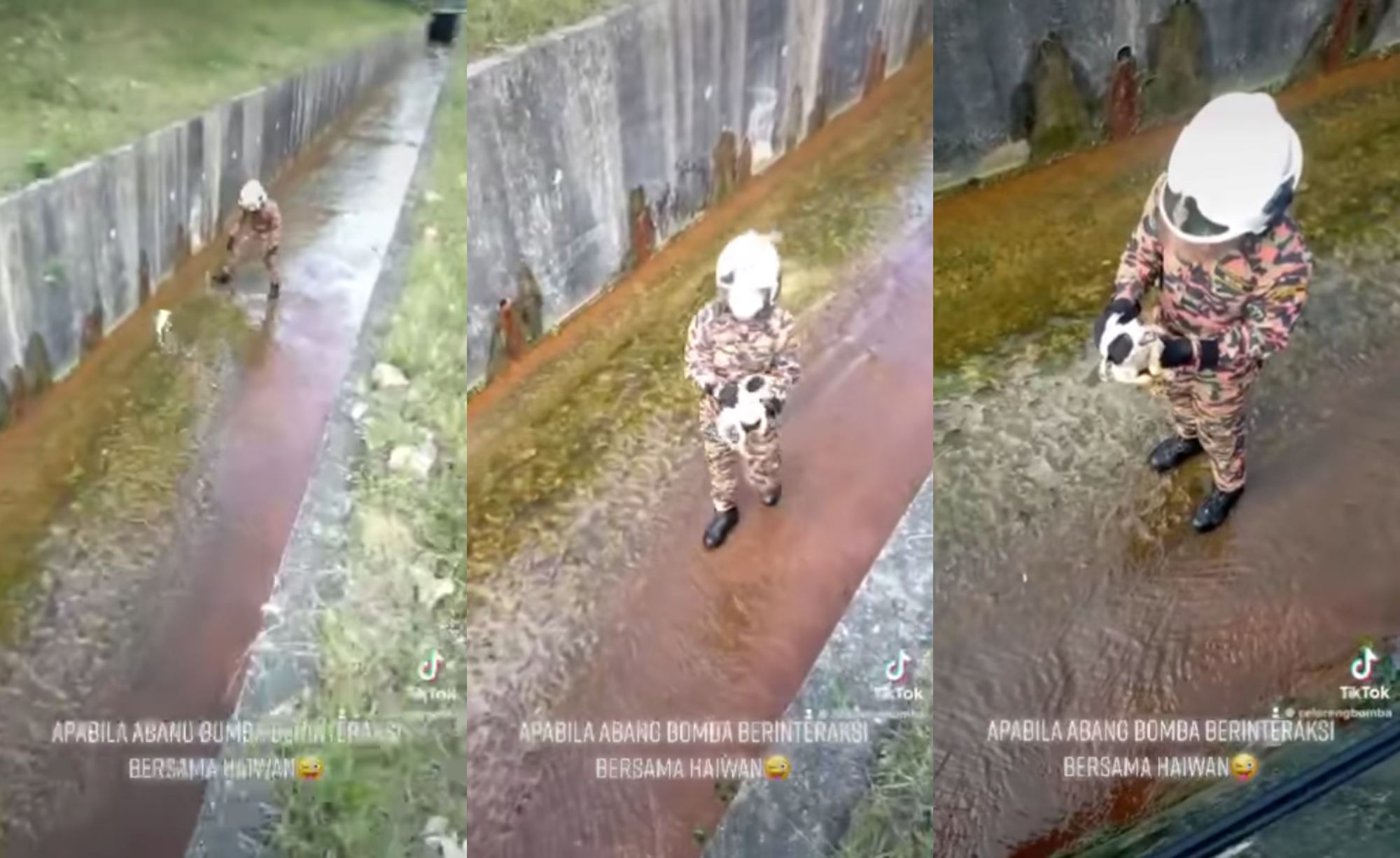 cutest ever! puppy falls into drain & tries to escape abang bomba who was trying to save him