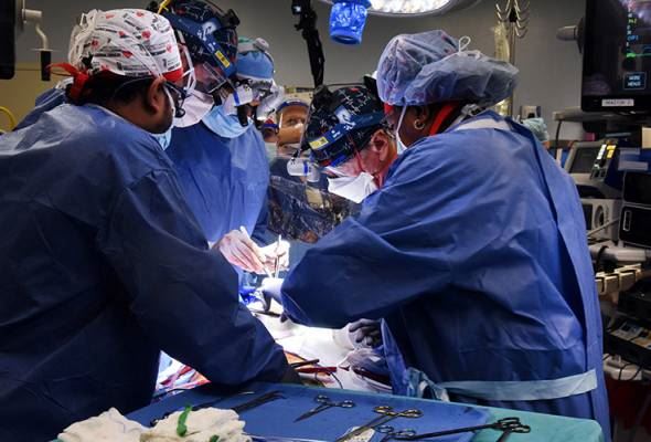 pakar bedah as berjaya pindahkan jantung khinzir kepada manusia
