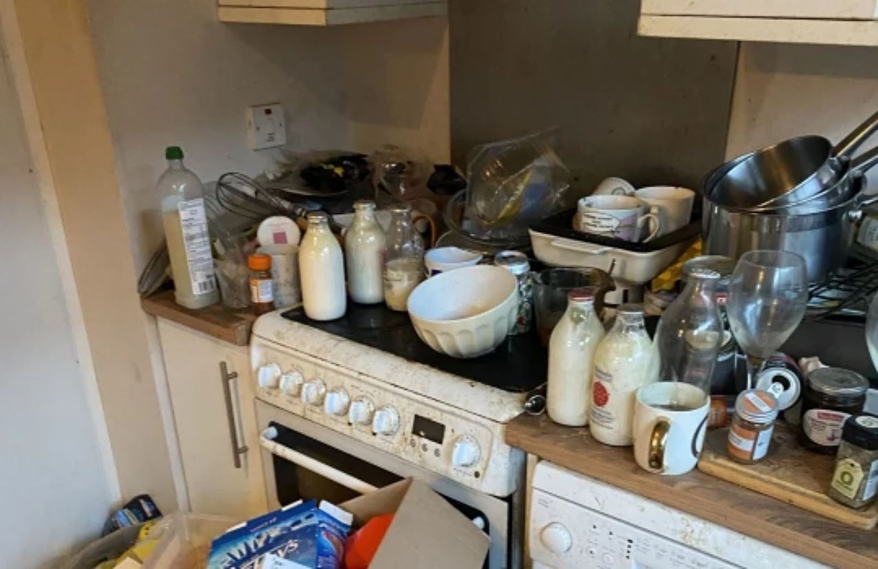 tuan rumah terkejut rumah sewa bersepah, siap ada ular hidup!