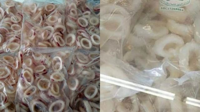 gegelang sotong selamat dimakan, tiada sebarang dna babi dikesan - “jangan percaya berita palsu”