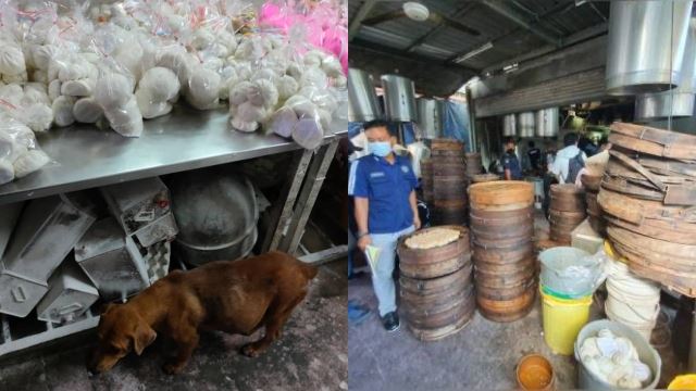 jijik! kilang pau diarah tutup, najis haiwan perosak banyak dijumpai 