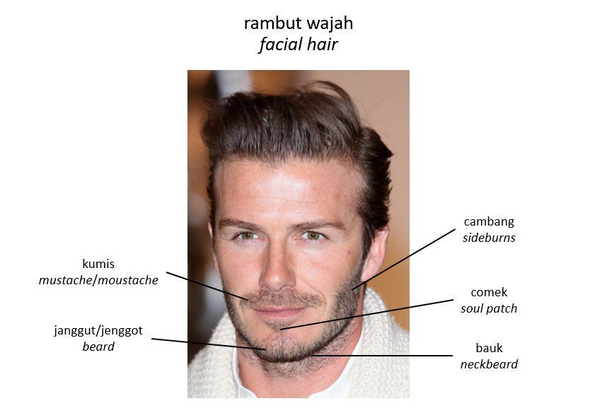 bukan janggut, ini antara nama bulu yang tumbuh bawah bibir 
