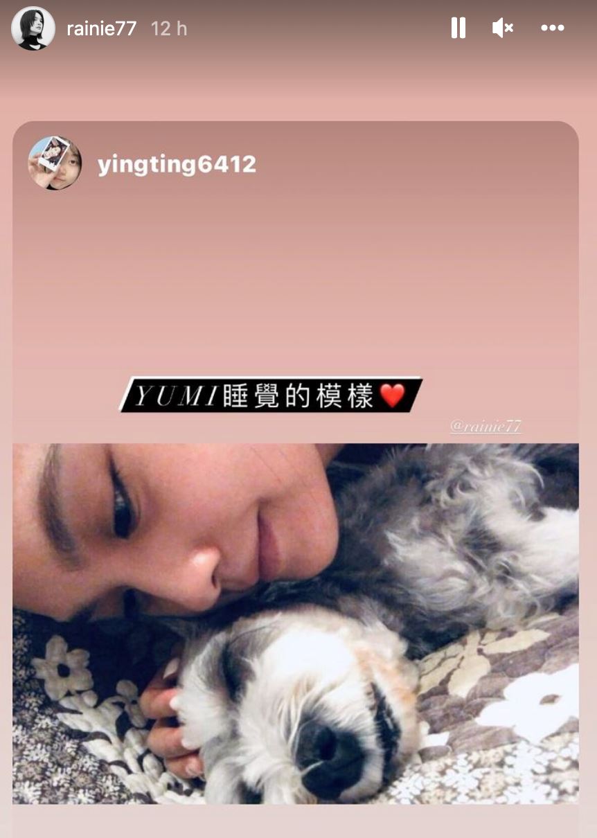 【台娱】杨丞琳爱犬生日当天告知噩耗！深夜爆哭发文向粉丝喊话求爱犬合照！ 