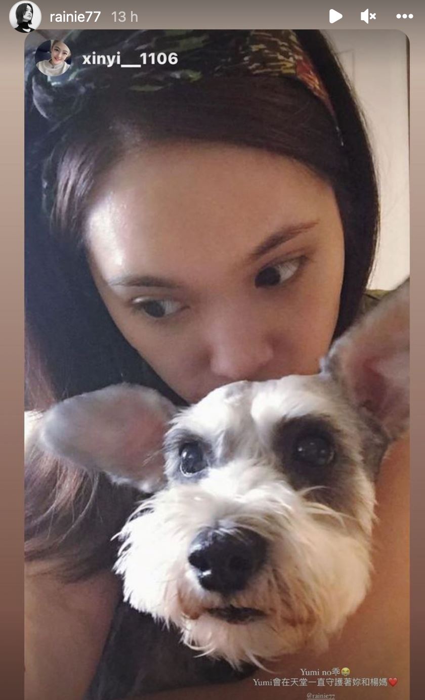【台娱】杨丞琳爱犬生日当天告知噩耗！深夜爆哭发文向粉丝喊话求爱犬合照！ 