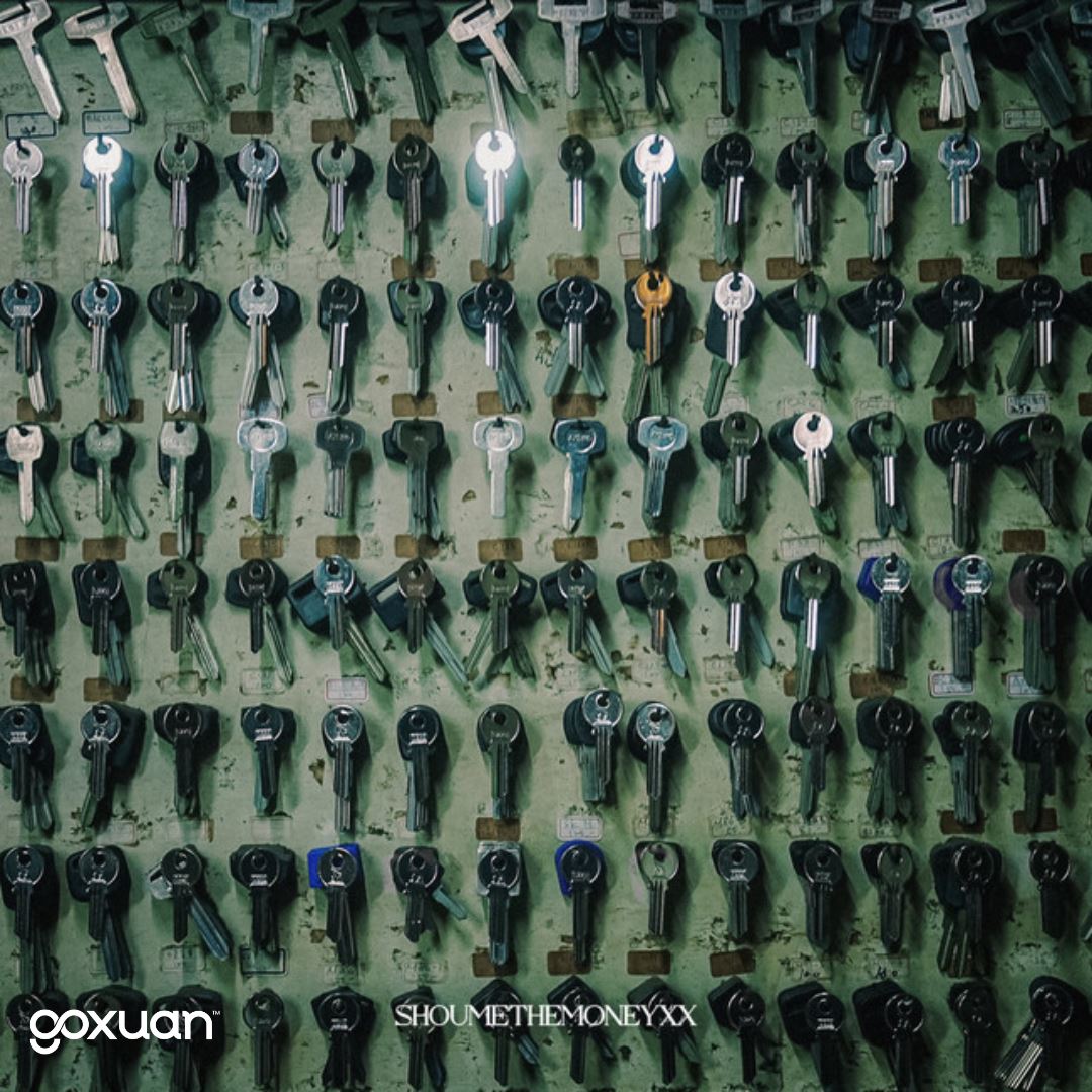 goxuan #新歌上线 2025