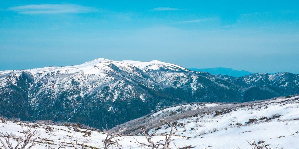 Visit the Australian Alps for a ski trip