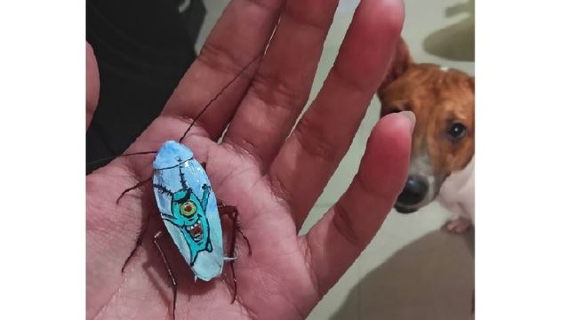 seniman filipina cipta karya seni pakai bangkai lipas