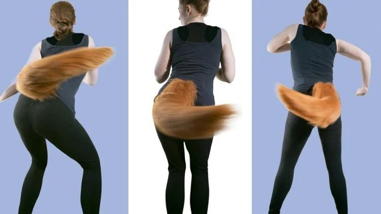 syarikat ini lancar ekor elektronik boleh gerak mirip ekor sebenar