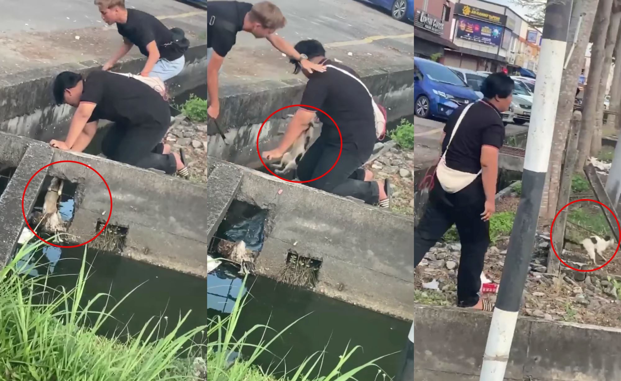 two men in perak caught on camera saving drowning cat stuck in a drain