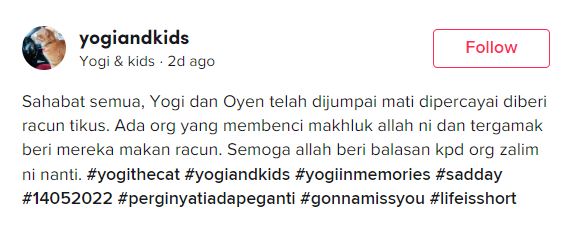 sedih! kucing popular ini mati kena racun di desa pandan, kl