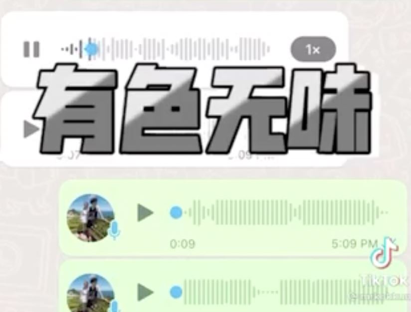 【趣闻】大马网友狂飙福建话吐槽penang laksa网民全笑翻：有色没有味，感觉自己中covid？！ 